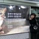 삼팔이 이미지