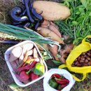 이일주농장 이미지