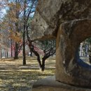 분홍공주 이미지