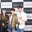 비스트로이프 이미지