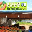 용규농장 이미지