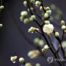 촉촉이네 이미지