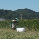 용기목장 이미지