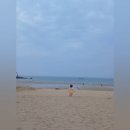 코로나펜션 | 인천 더위크앤리조트 후기｜5개월 아기 숙소 솔직 후기 + 을왕리 펜션 비교