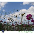 하늘 그리고 바다 이미지