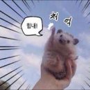 저단17 이미지