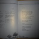 힐링시문학 이미지
