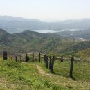 봉황세차장 이미지