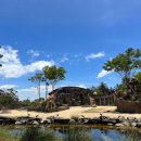 주식회사 패스트뷰 | 호주 시드니 타롱가 주 동물원 입장권 페리 왕복 이용권 구매 및 타는 곳