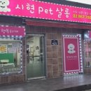 시현펫살롱 네이버블로그