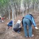 강원산림원 이미지