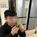 화성 반월동 맛집 누구나홀딱반한닭 반월헤센IT타워점 바베큐쌈닭 맛있네