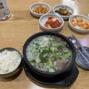 아마의 맹점 이미지