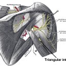 강녕한의원 이미지