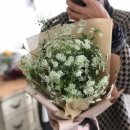 회원동315 이미지