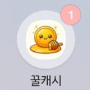 캐시플라이
