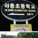 야동초 이미지