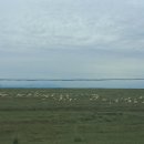 중국의 속살과도 같았던 내몽고의 기차여행과 칠채산을 다녀와서... 이미지