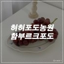 허허포도농원
