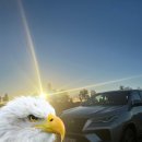 U-CAR | 호주 워홀 - 울룰루+카타추타 2박 3일 렌터카 후기