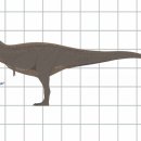 알라모사우루스 | [고생물 뉴스] 새로운 티라노사우루스류 4종