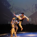 높은 바람 태권도 이미지