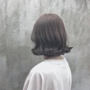컬리블리