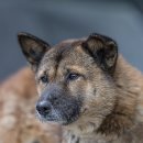 검산농장 이미지