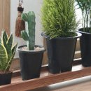 다용도 나무 트레이 제작 이미지