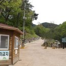국립대관령치유의숲 이미지