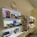 아모르 펫 살롱 이미지