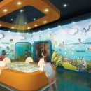 [초등 4~6학년]궁궐 이야기 이미지