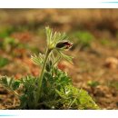 무주종합복지관 이미지