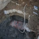 도경주유소 이미지