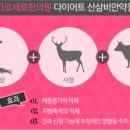 가로세로 이미지