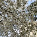 수니당구클럽 이미지