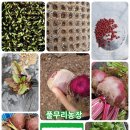 2020농장 이미지