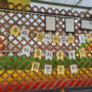 팜앤트리
