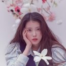 아이유 어린이집