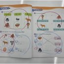 윤빛종합관리 | 개별 맞춤형 학습으로 성장하는 원주수학학원 윤빛학원의 특별한 학습 방법