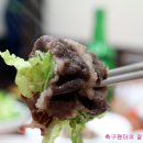 참우가 이미지