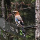 5월31일 초안산 답사 - 월계2동, 월계고등학교, 비석골근린공원 이미지