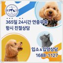 아이조아 요양보호소 경기광주 | 성남고양이보호소 아이조아 안심하고 맡겼어요