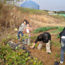 기쁨농장 이미지