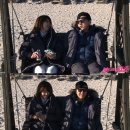불타는청춘 티브이데일리
