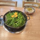 산들원 | 도고맛집// 산들원에서 몸보신 후기