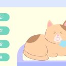 장호원동물병원 이미지