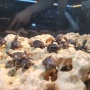 피쉬갤러리 천안점 이미지