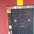 와니펫싸롱 | 애견미용실 와니펫싸롱