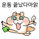 크로스핏 타우너 이미지